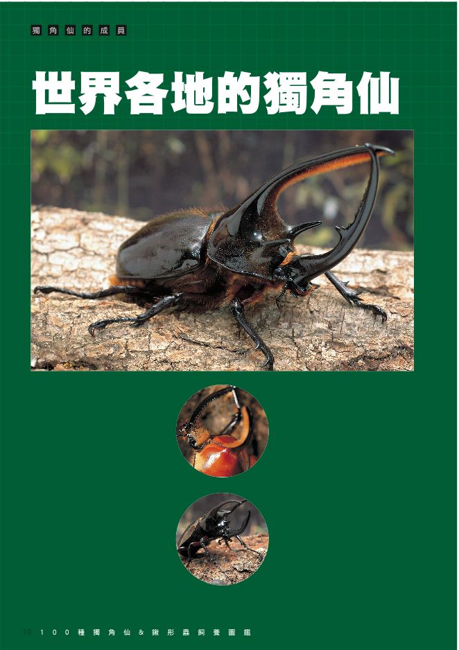內頁 4