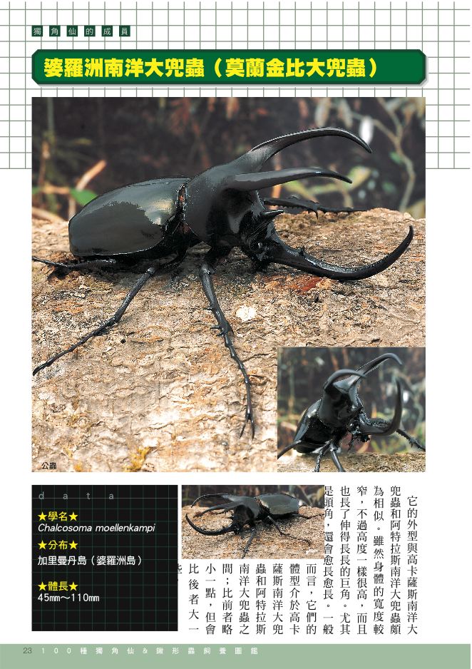 內頁 8