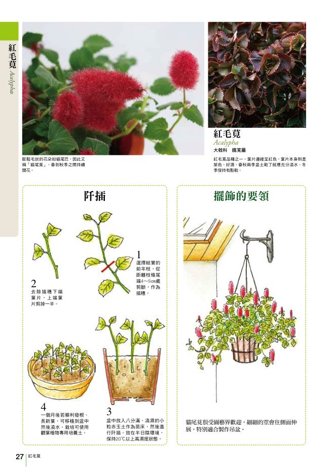 內頁 6
