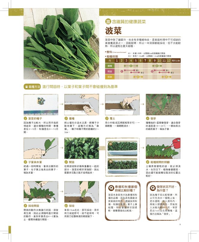 內頁 4