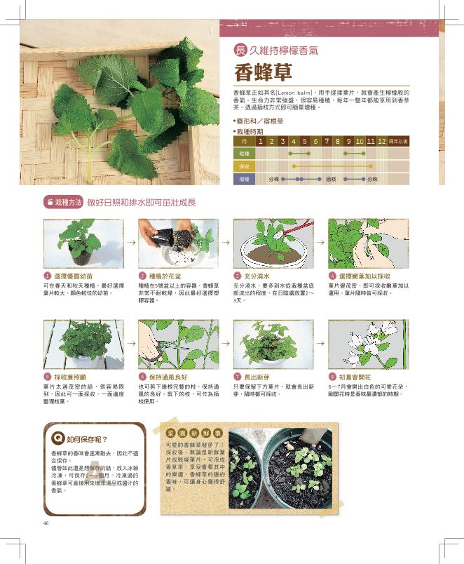 內頁 5