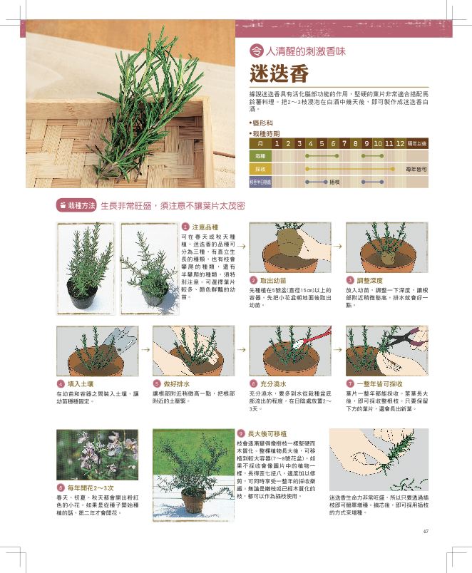 內頁 6