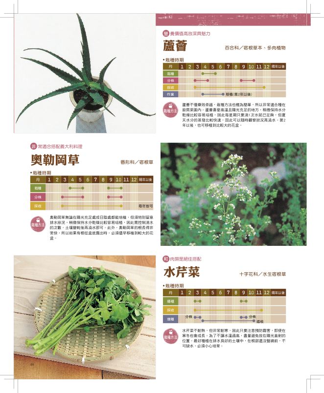 內頁 7