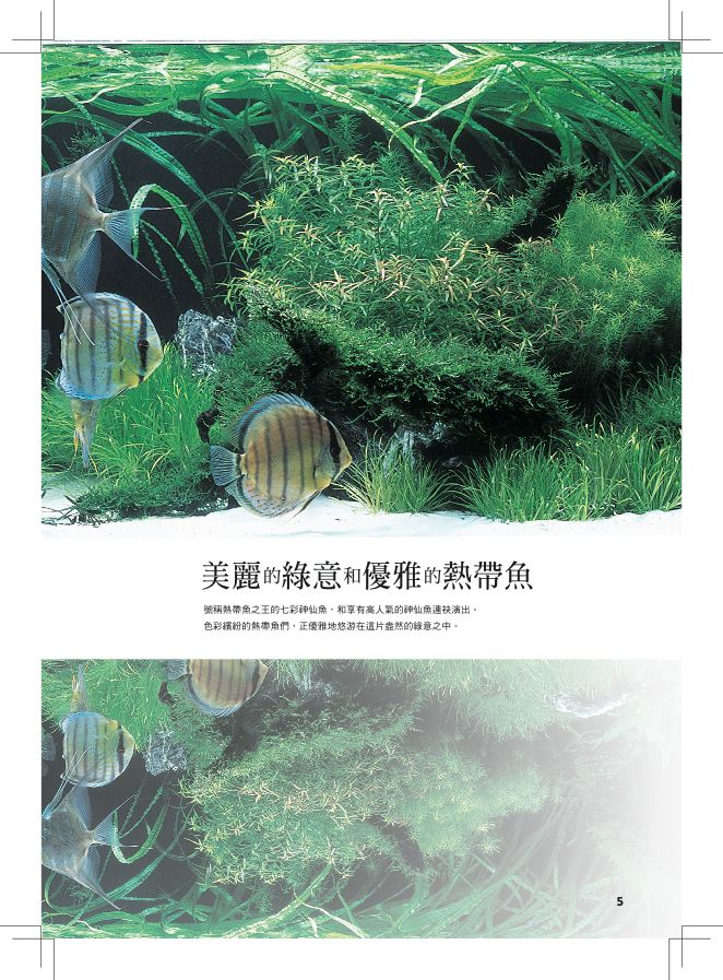 內頁 1