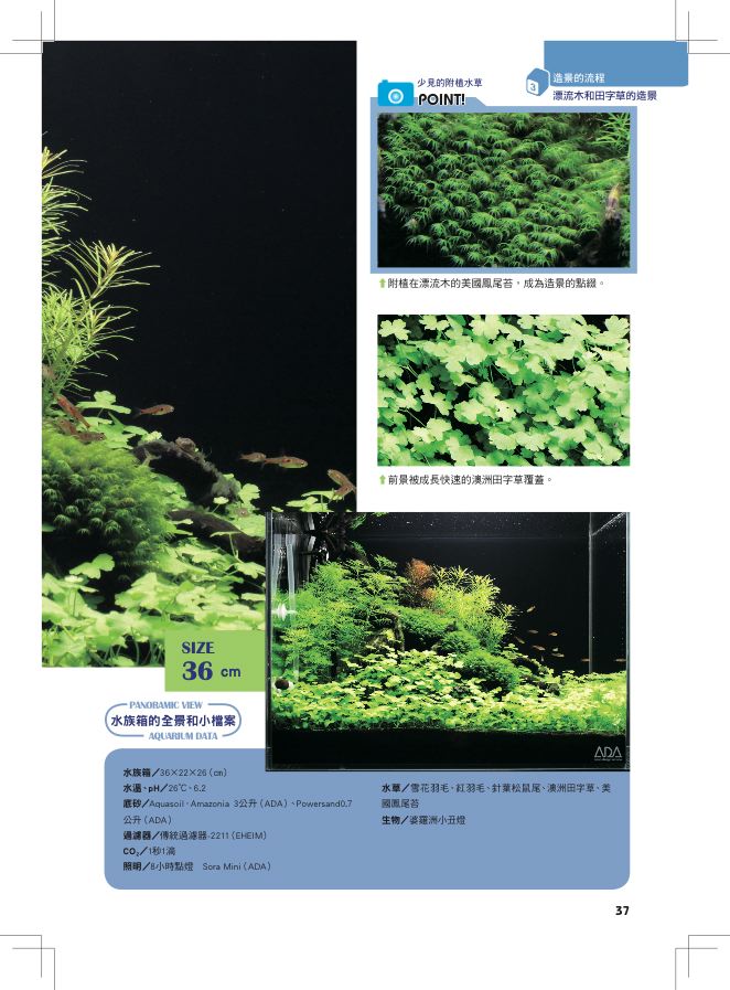 內頁 4