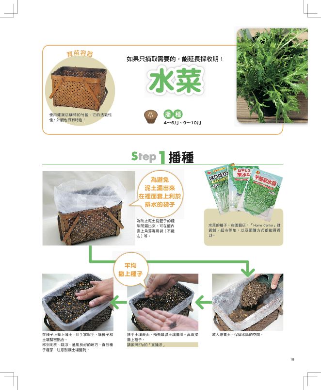 內頁 4