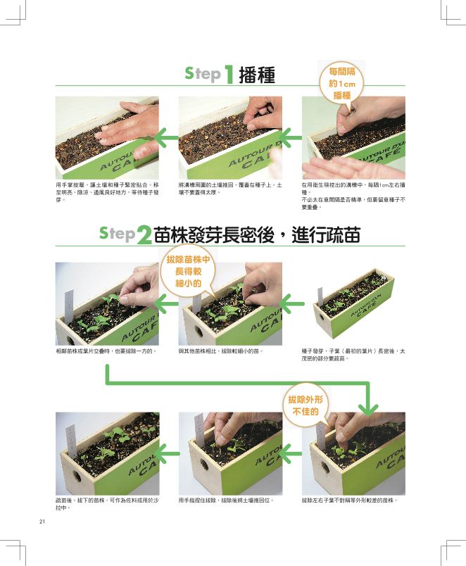 內頁 7