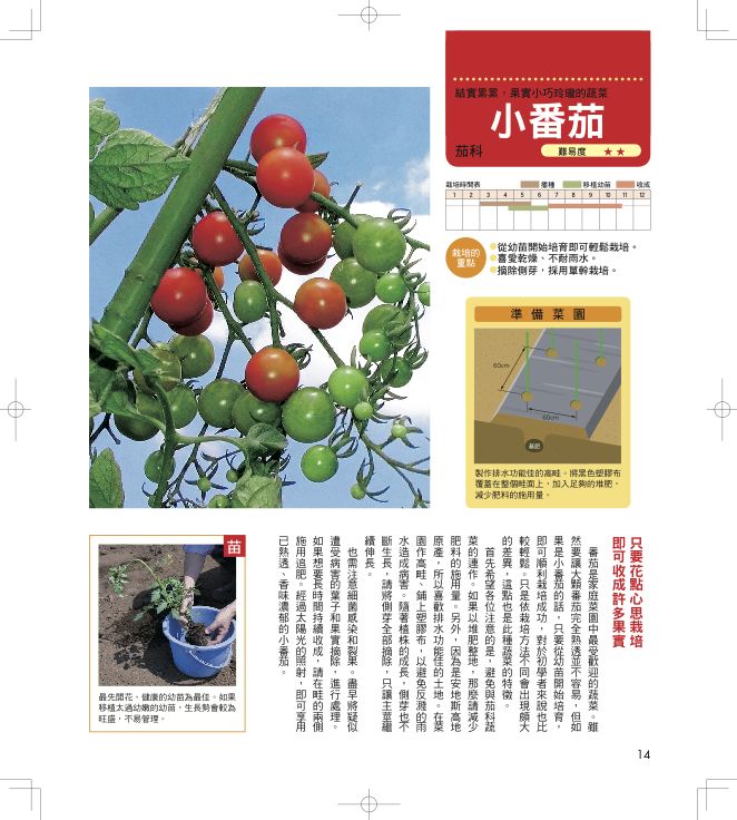 內頁 1