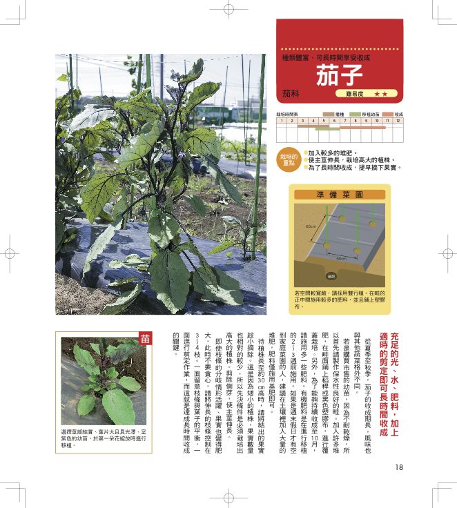 內頁 5