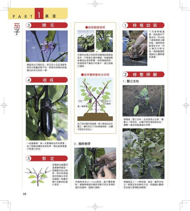 內頁 6