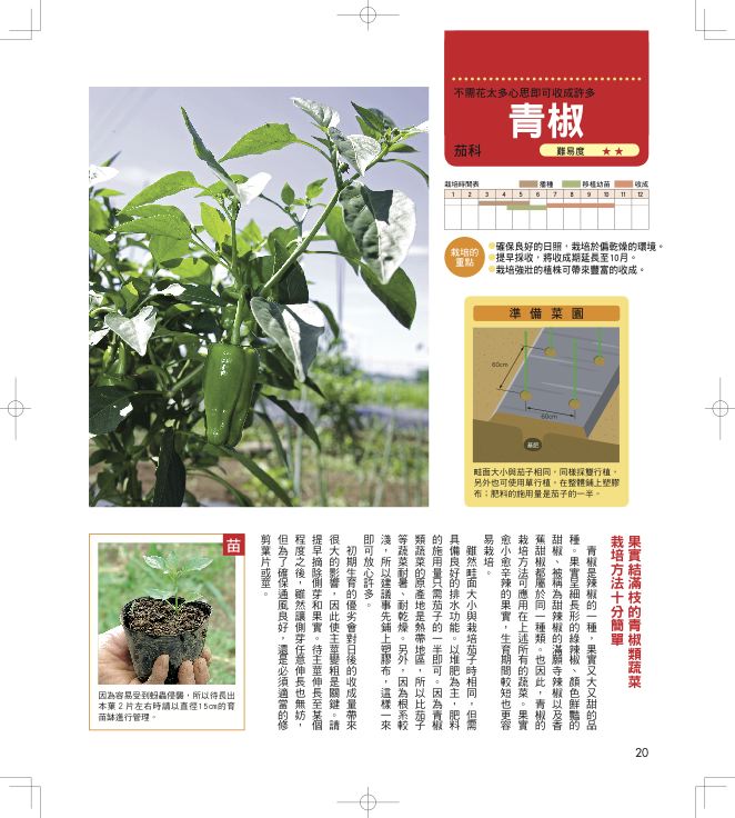 內頁 7