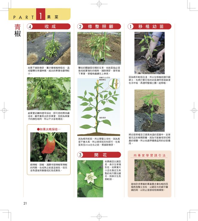 內頁 8