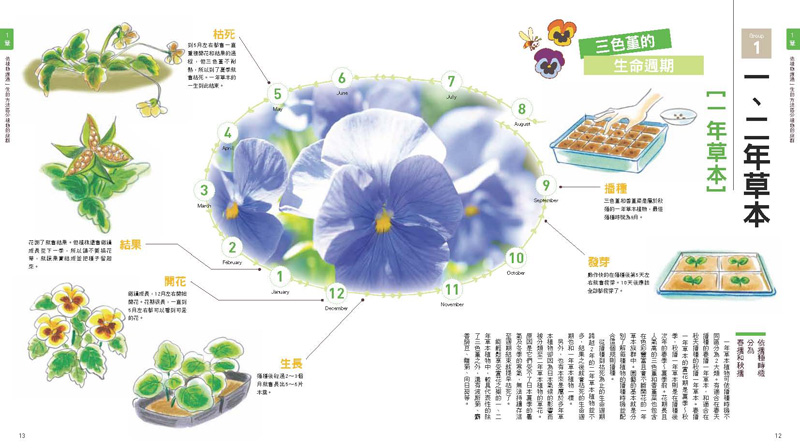 內頁 3