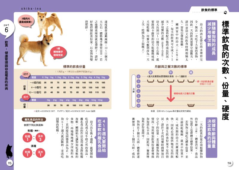 內頁 8