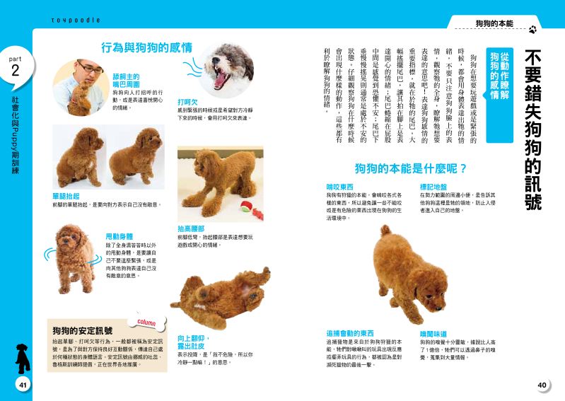 內頁 5