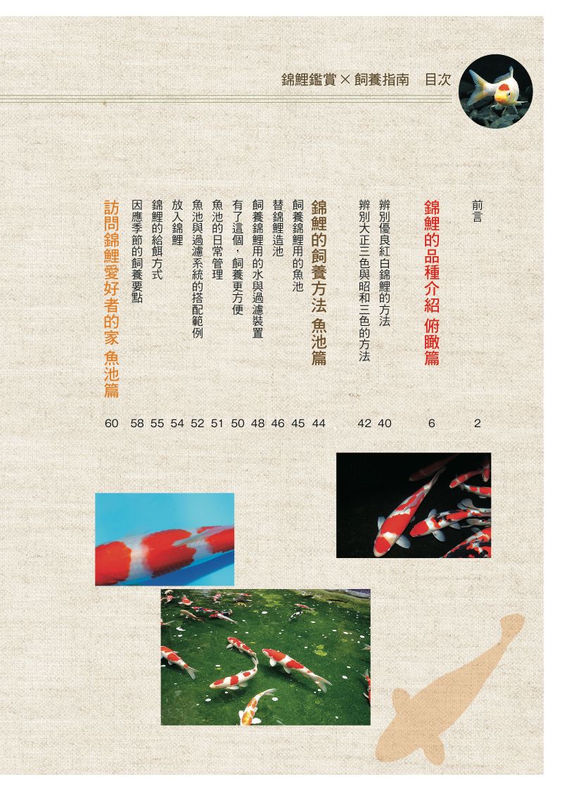 內頁 1