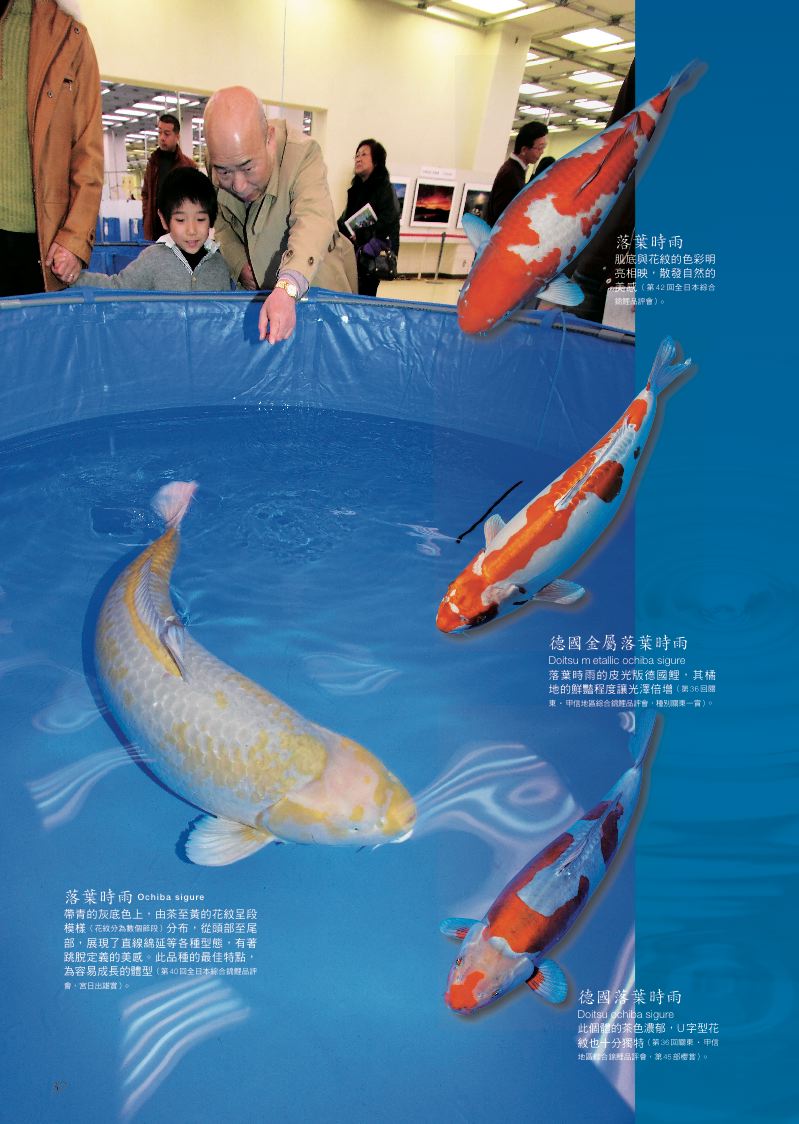 內頁 3
