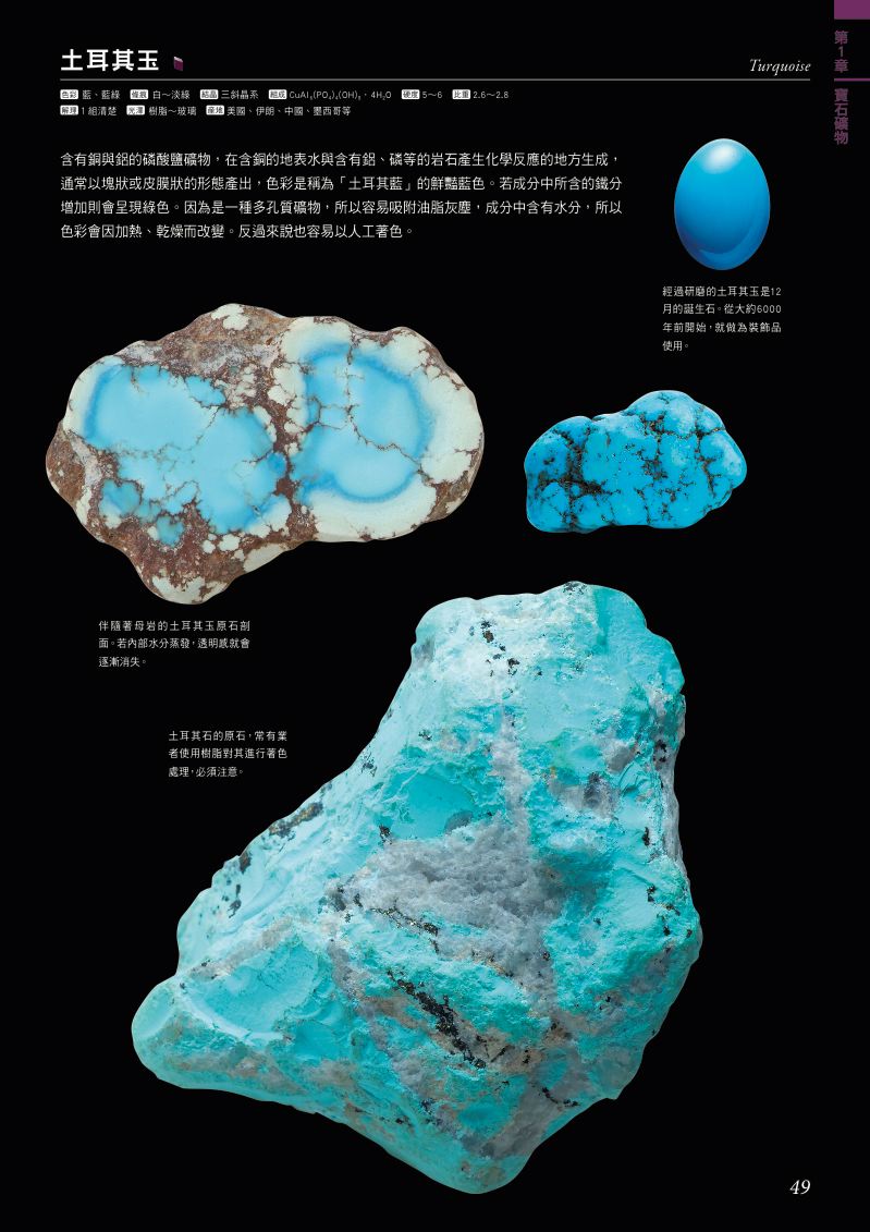 內頁 3