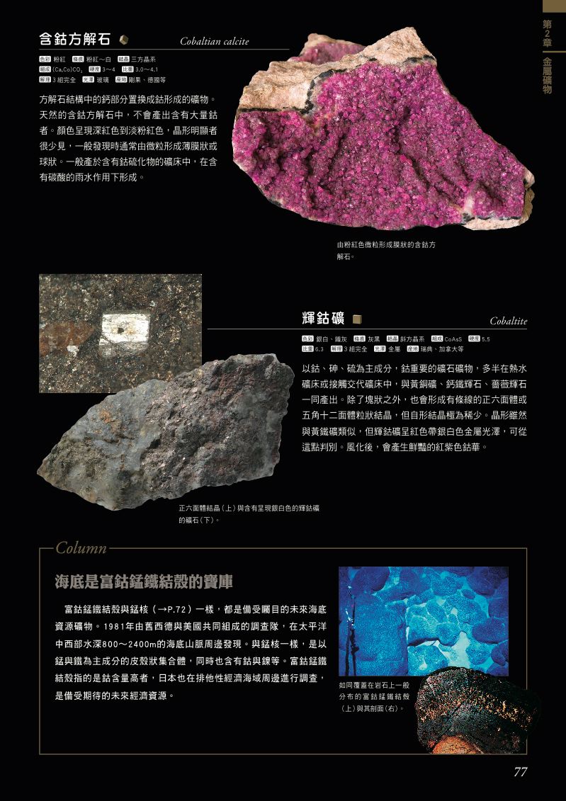 內頁 4