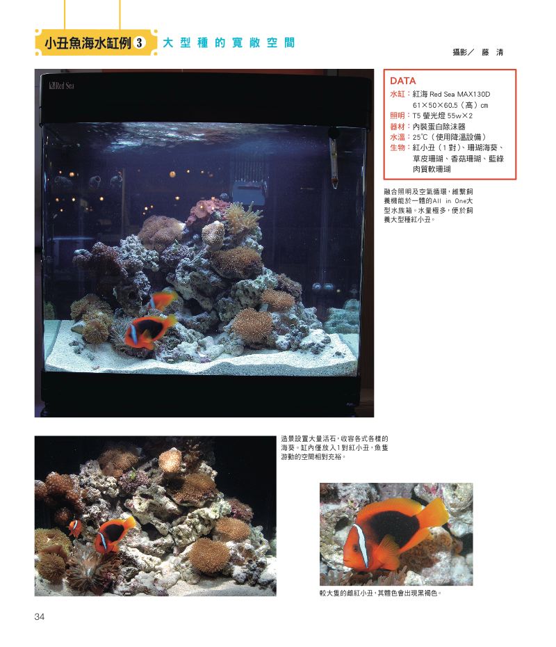 內頁 7