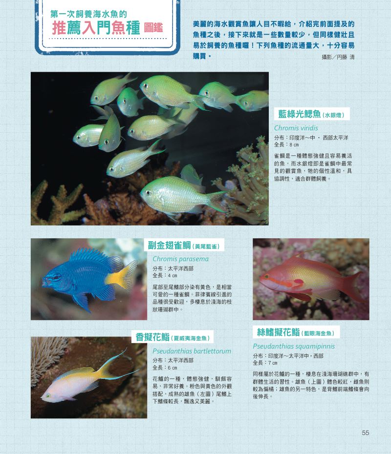 內頁 9