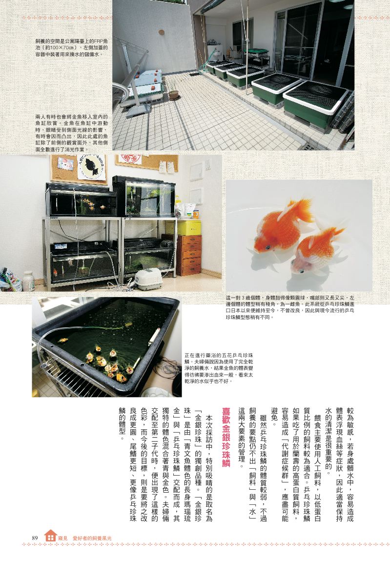 內頁 10