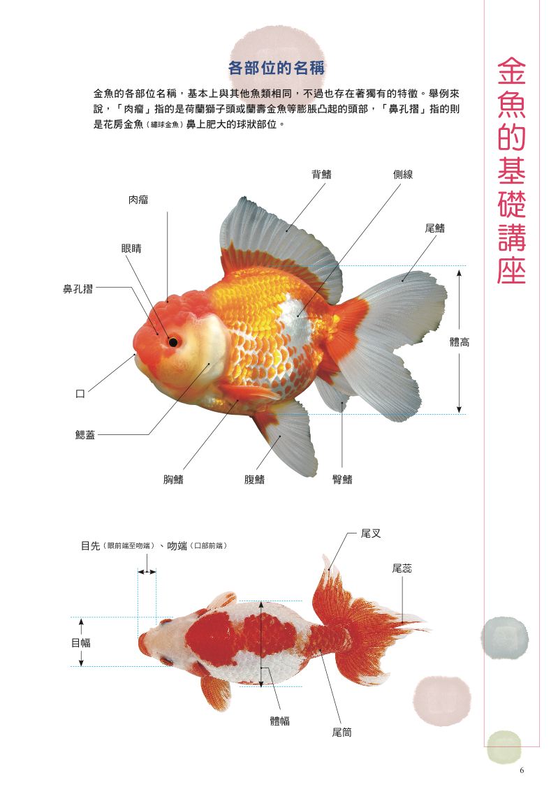 內頁 2