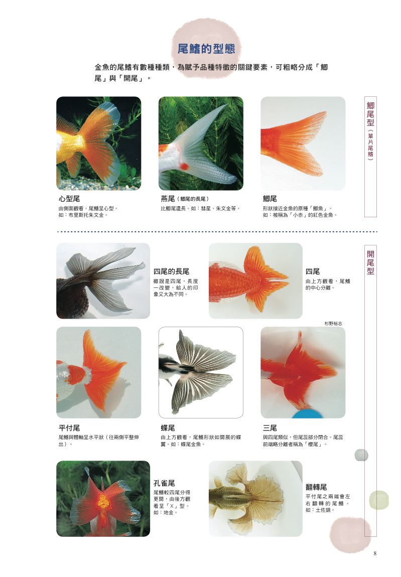 內頁 4