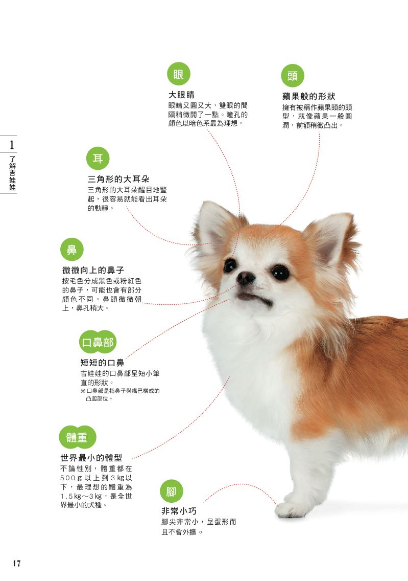 內頁 3