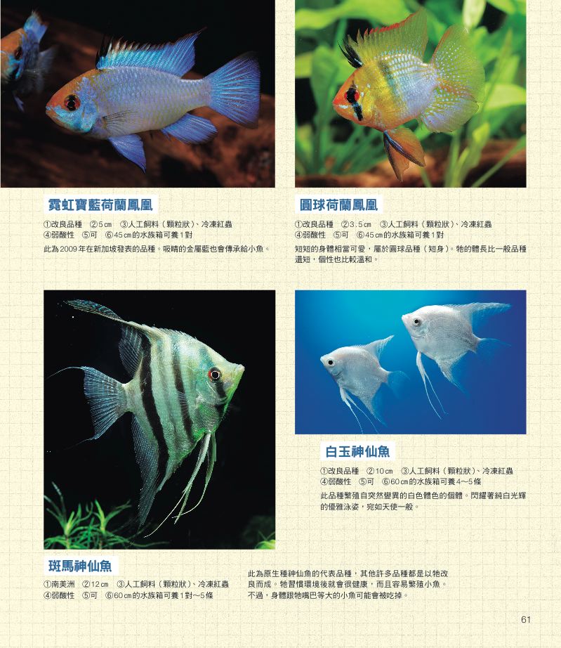 內頁 8