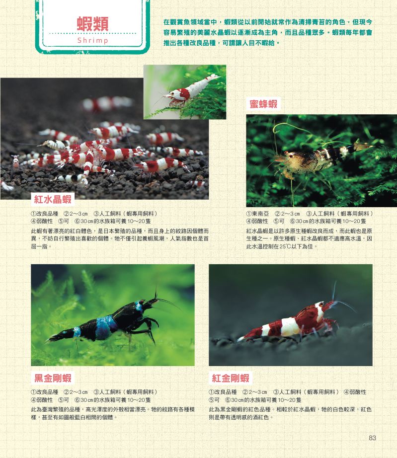內頁 9
