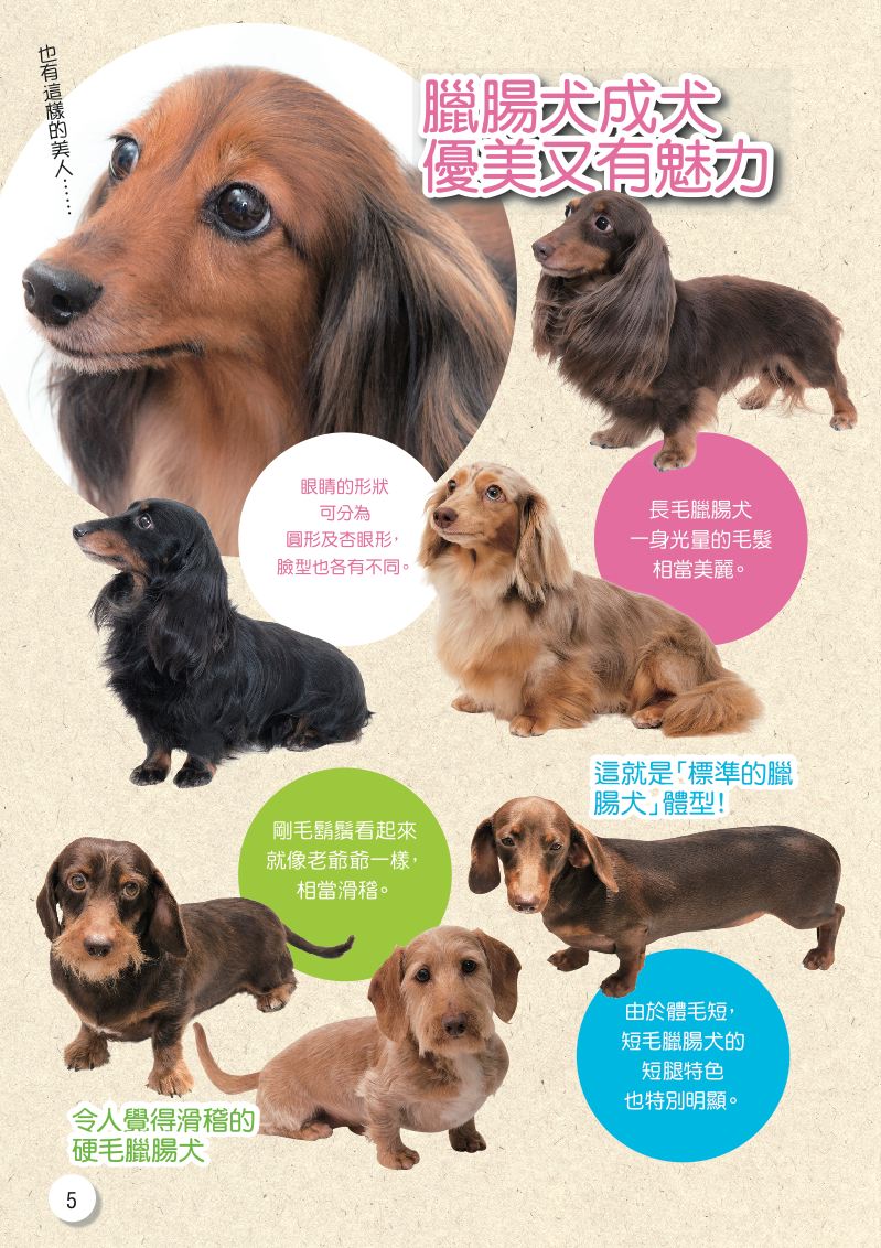 內頁 2