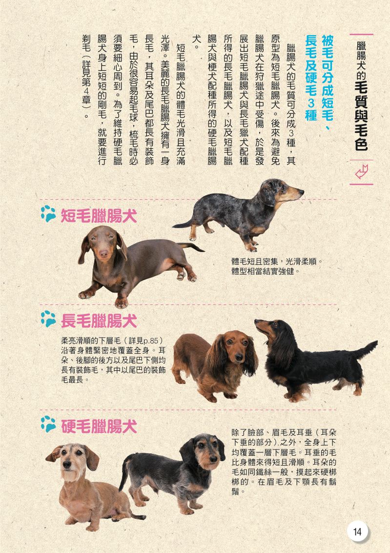 內頁 4