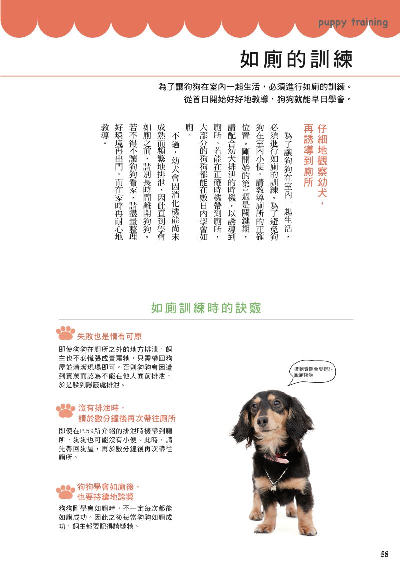 內頁 5