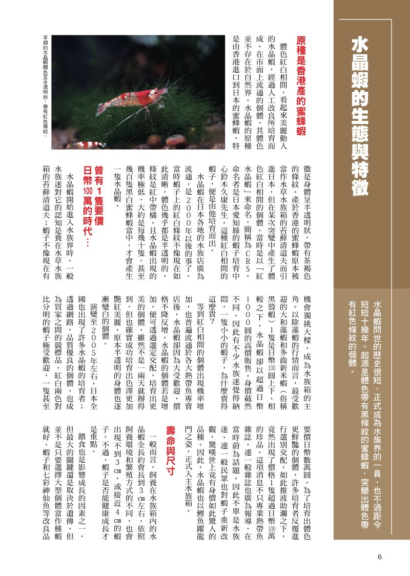 內頁 2