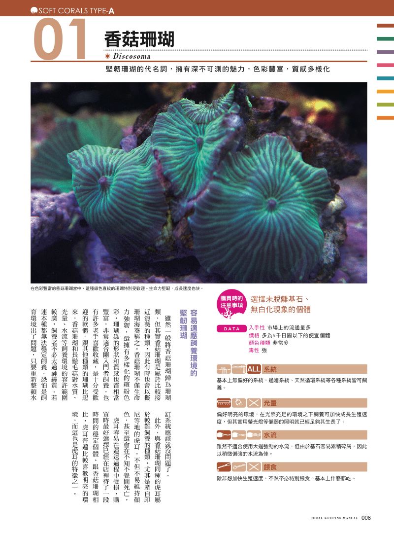 內頁 2