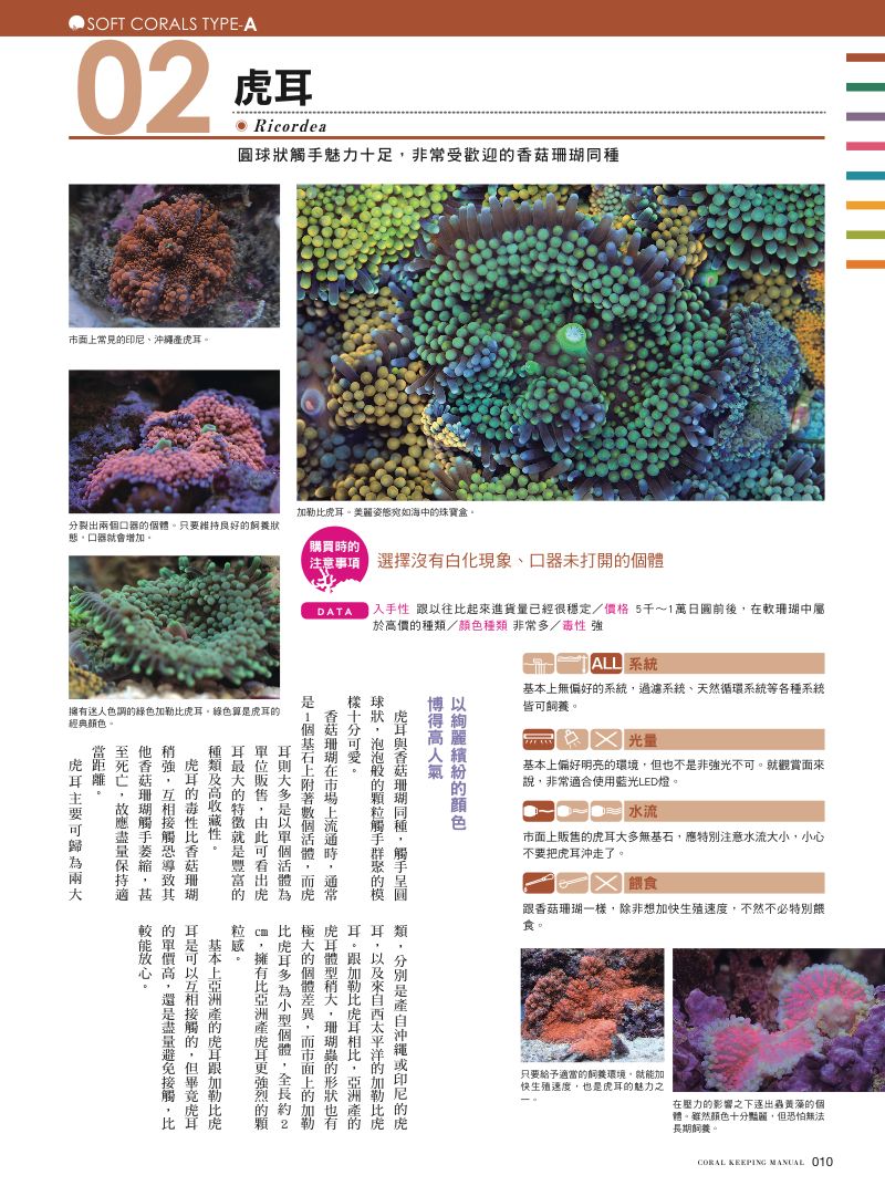 內頁 4