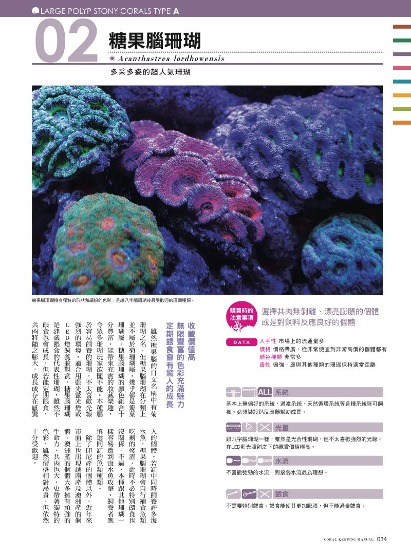 內頁 8