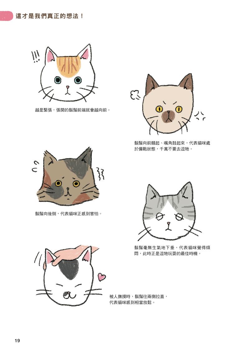 內頁 7