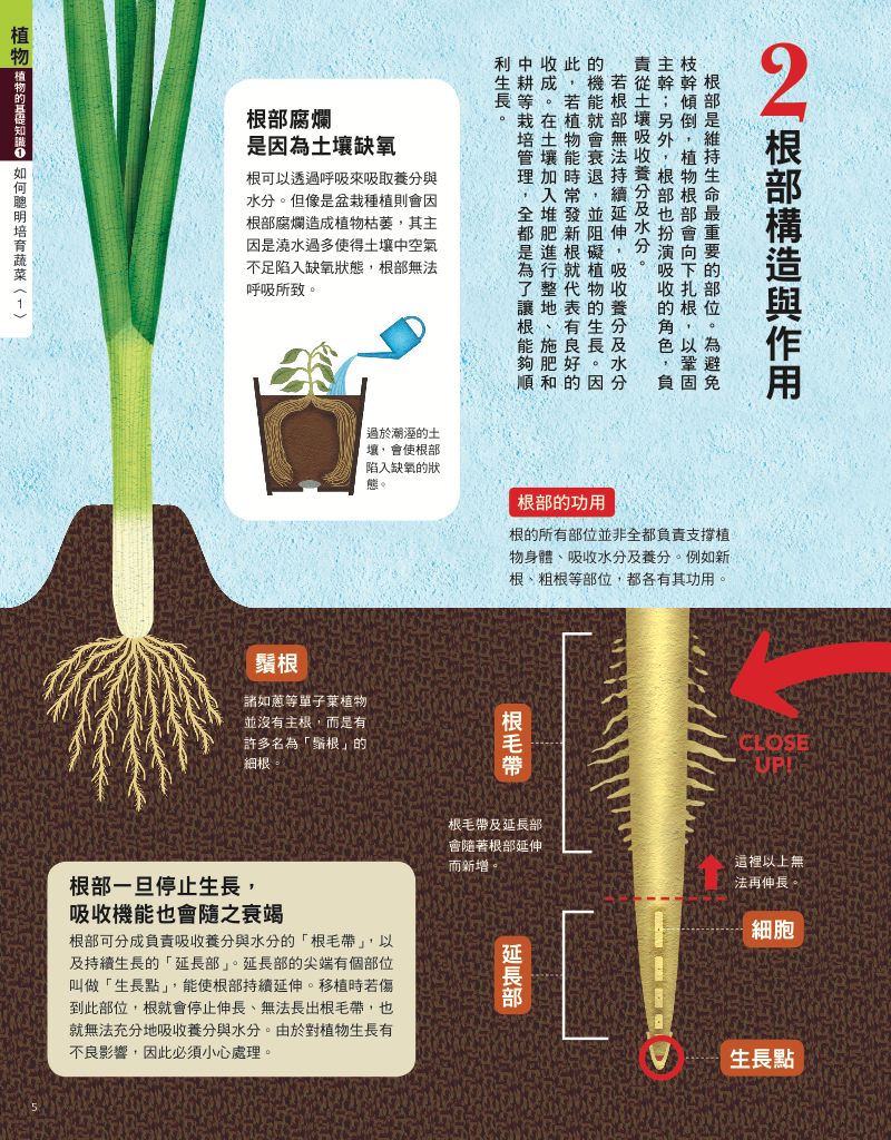 內頁 3