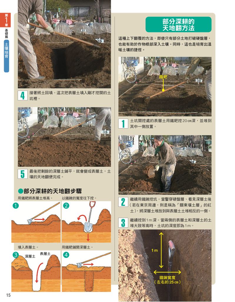 內頁 6