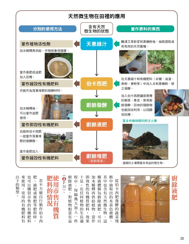 內頁 9