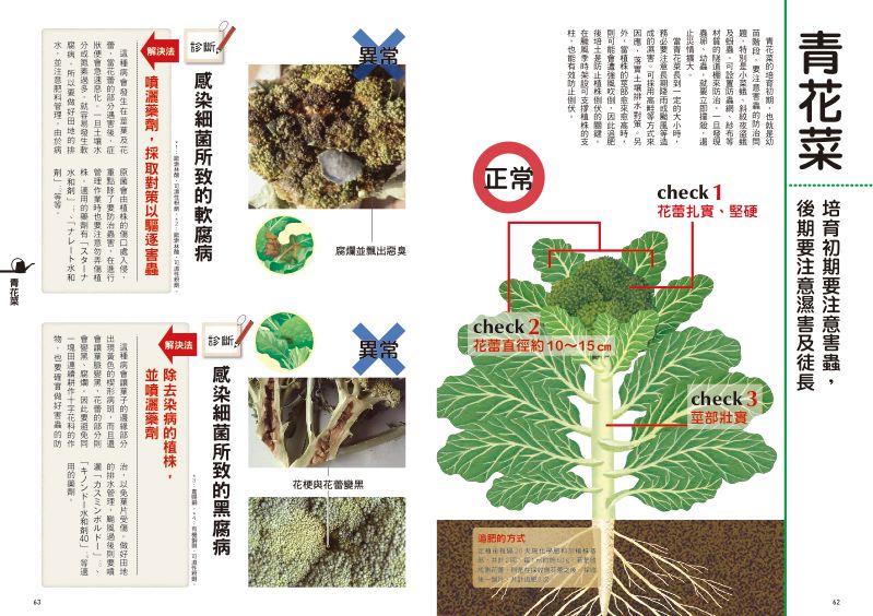 內頁 10