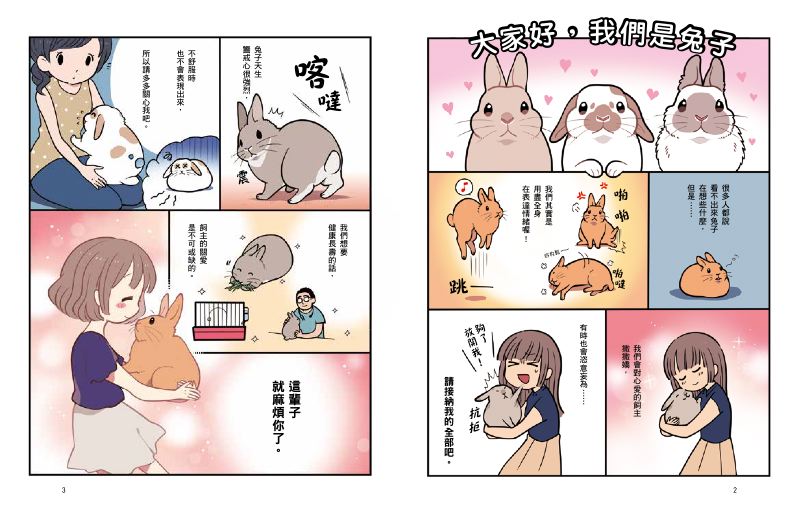 內頁 2