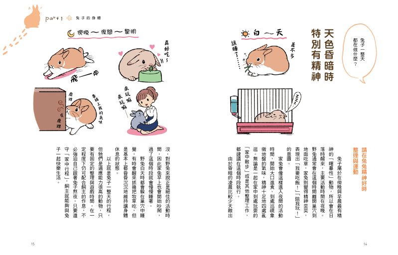 內頁 3