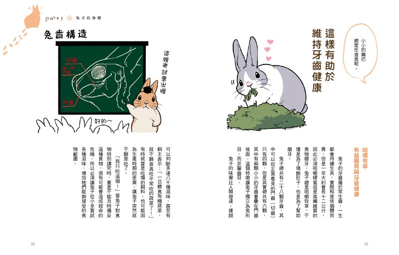 內頁 4