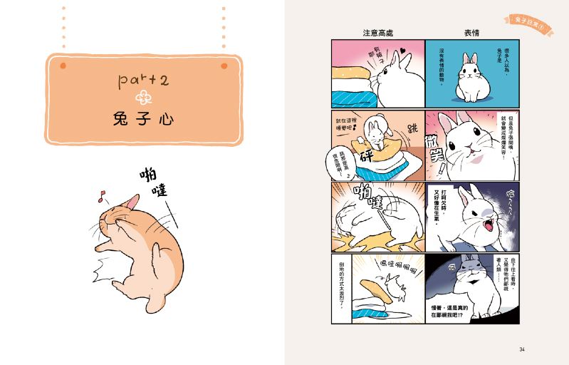 內頁 5