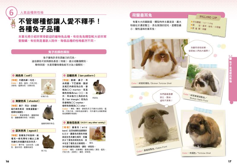 內頁 5