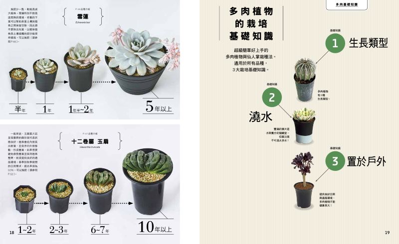 內頁 4