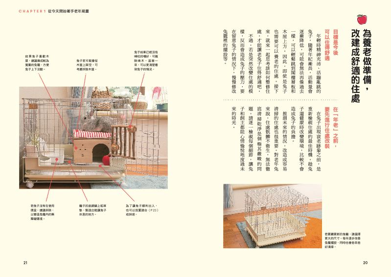 內頁 2